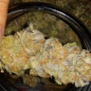 Meet your Posher, Jeremy